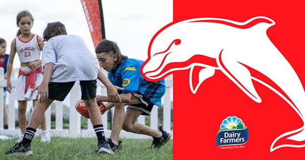 www.dolphinsnrl.com.au