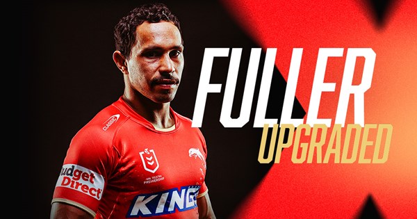 www.dolphinsnrl.com.au