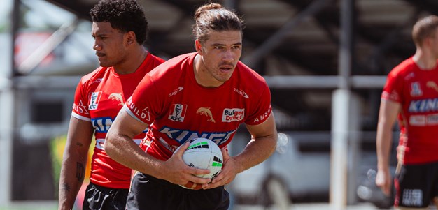 Dolphins set for NRLQ U20 Development Series