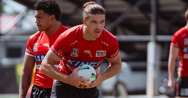 www.dolphinsnrl.com.au