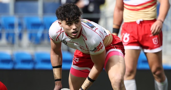 www.dolphinsnrl.com.au