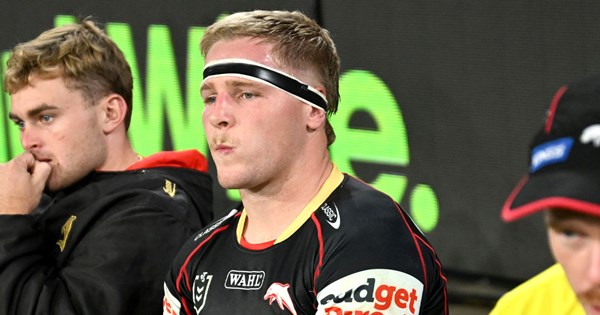 www.dolphinsnrl.com.au