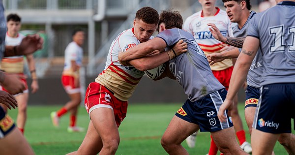 www.dolphinsnrl.com.au