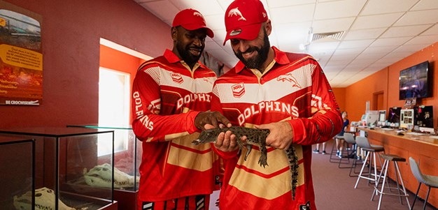 Dolphins in Darwin: Top tips for the Top End