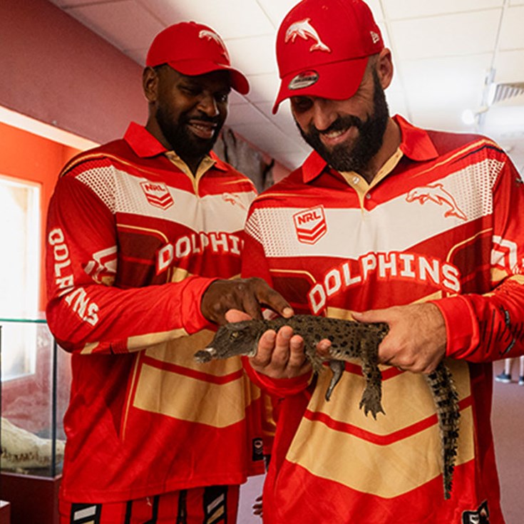 Dolphins in Darwin: Top tips for the Top End