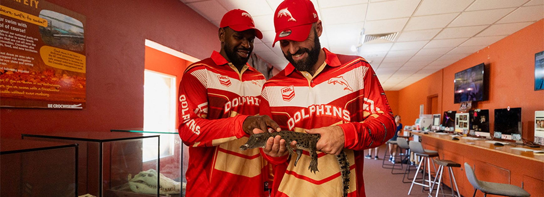 Dolphins in Darwin: Top tips for the Top End