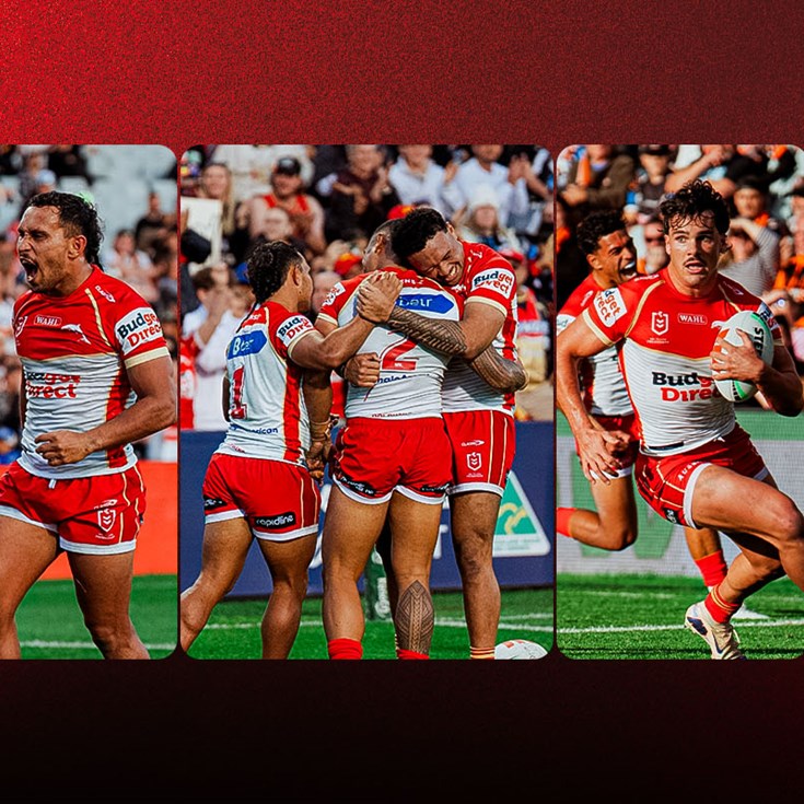 Match Preview: Round 18 – Dolphins v Knights