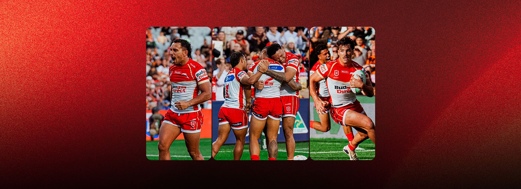 Match Preview: Round 18 – Dolphins v Knights