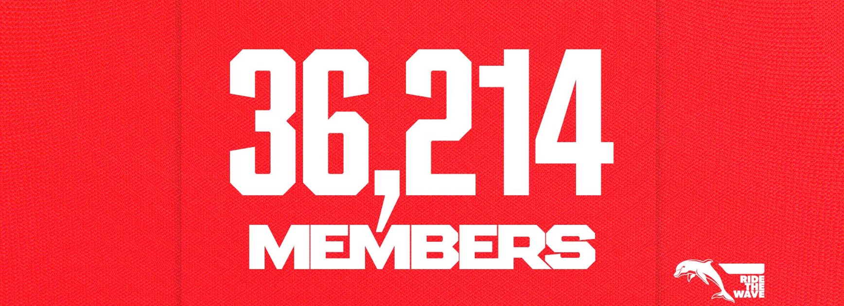 Historic night awaits as Dolphins break membership record ahead of sold-out Battle For Brisbane