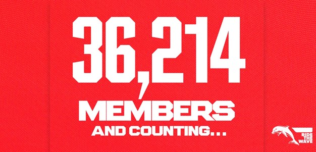 Historic night awaits as Dolphins break membership record ahead of sold-out Battle For Brisbane