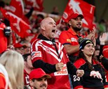 Register your interest for 2027 Dolphins Membership